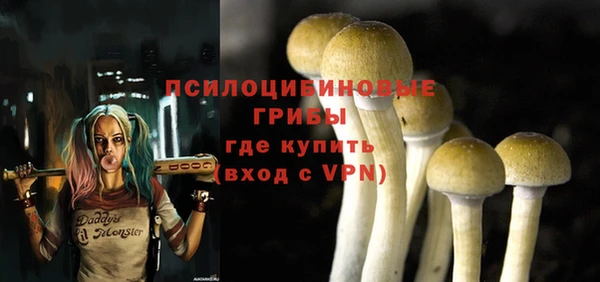 apvp Пересвет