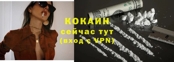 дурь Карпинск