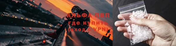 мяу мяу мука Пестово