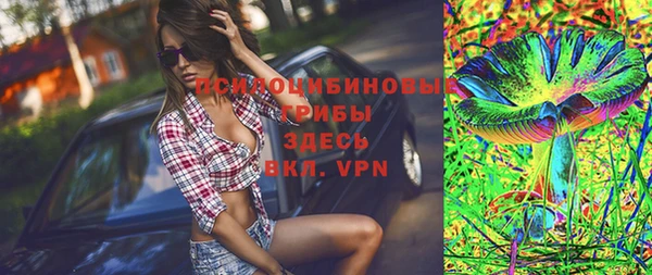 apvp Пересвет