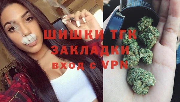 мяу мяу мука Пестово