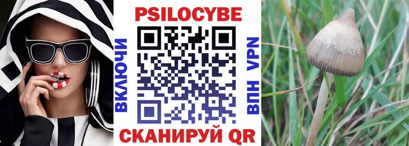 где найти наркотики  Кизел  blacksprut зеркало  Псилоцибиновые грибы Magic Shrooms 